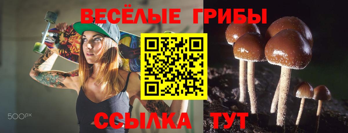 Красноуфимск  Псилоцибиновые грибы мухоморы  Вход с VPN  Галлюциногенные грибы Psilocybine cubensis 
